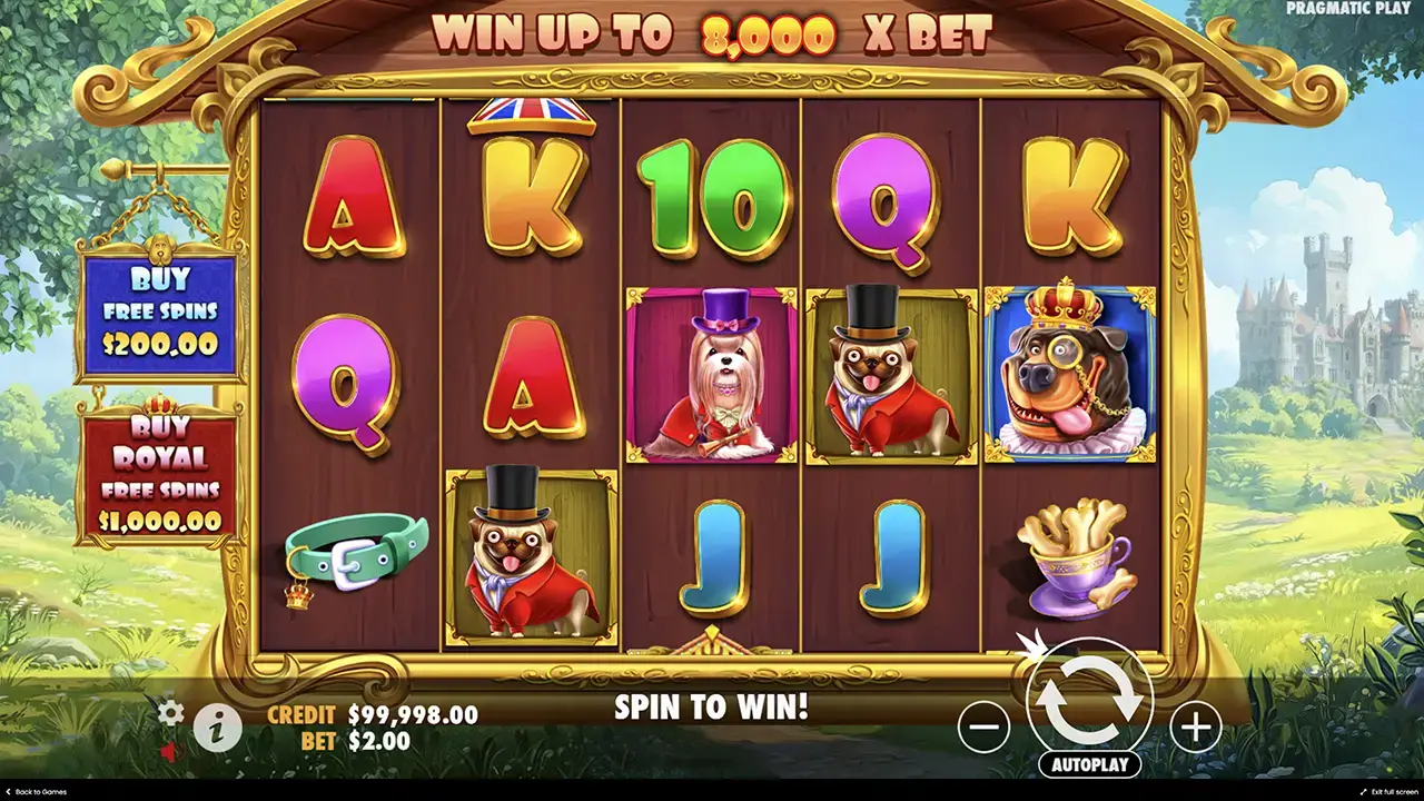 Демо The Dog House – Royal Hunt особенности для игроков
